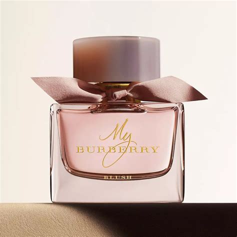 burberry parfüm damen|Burberry perfume best price.